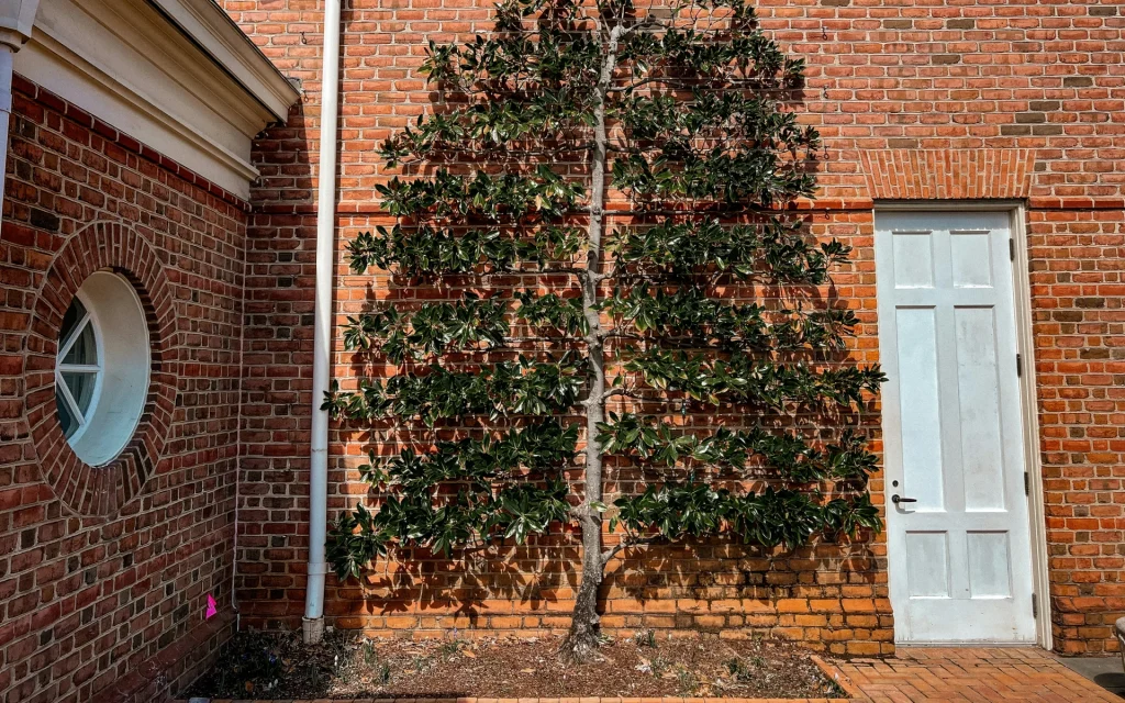 Brick outdoor flooring options