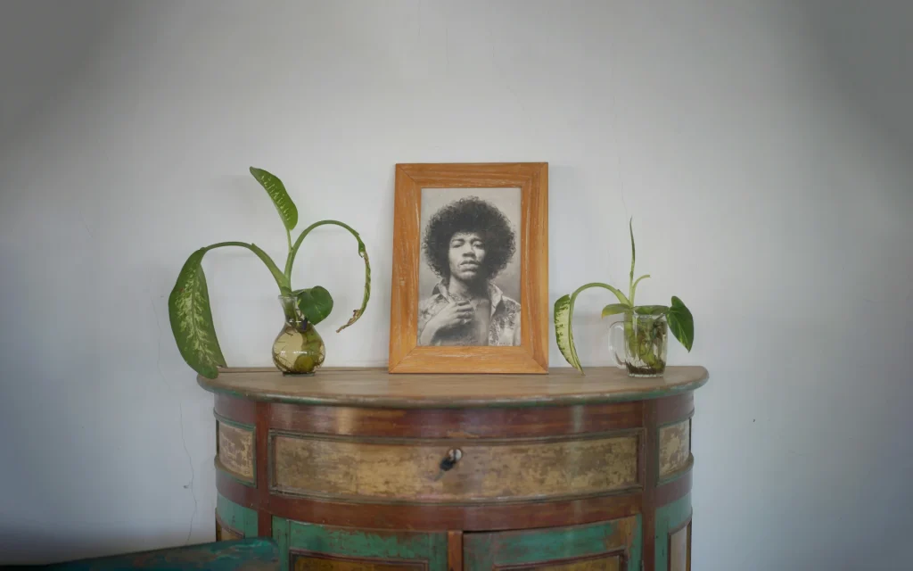 A framed photo on a rustic table with plants.