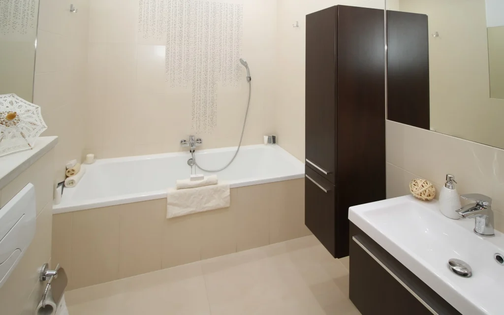 Ideas to maximize your space in your bathroom