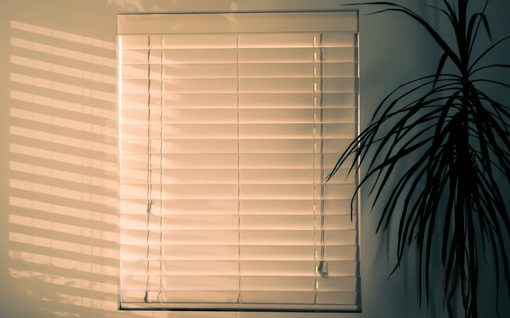 Roman window blinds