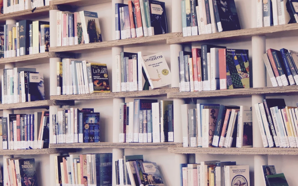 A bookcase in the living room