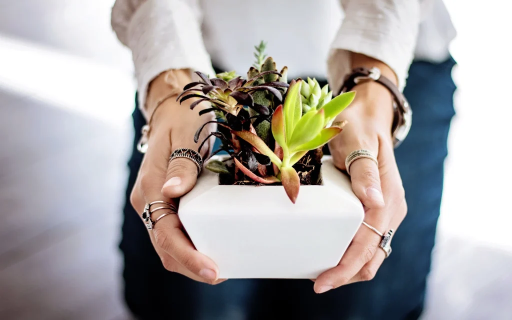 interior decorating with plants