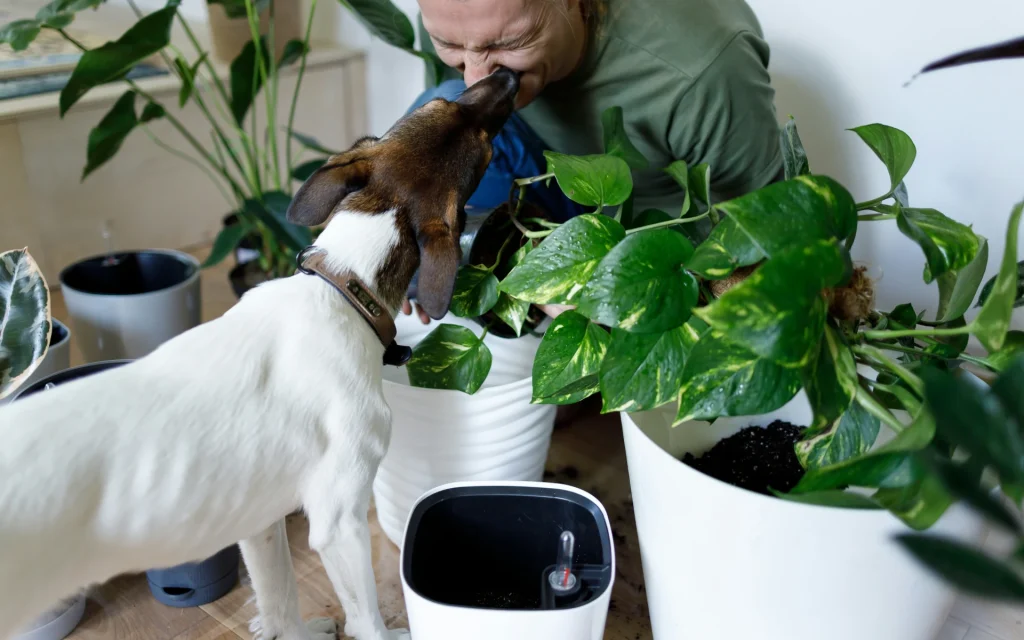 A man with indoor houseplants and a dog