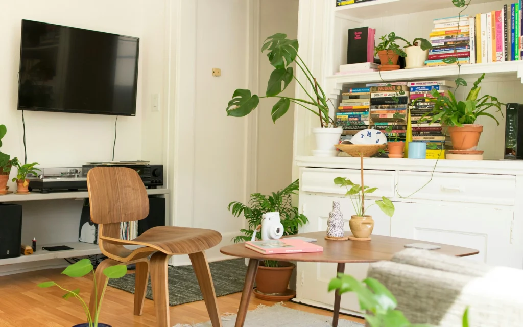 Plants in the living room