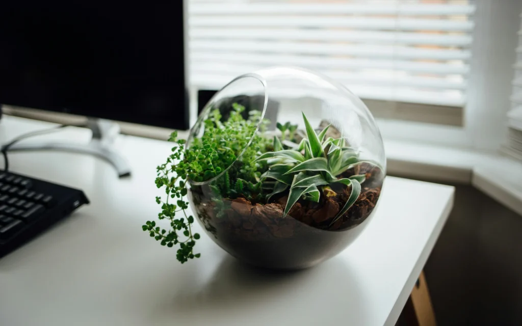 plants are a must for interior style