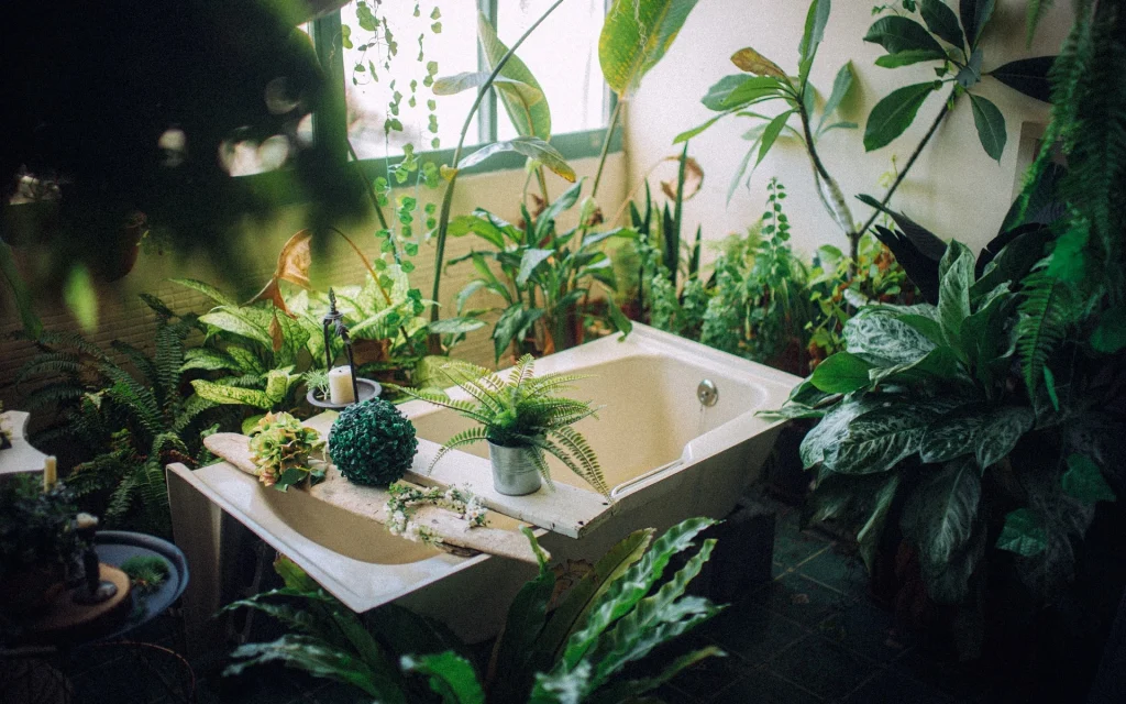 Plant decorating ideas