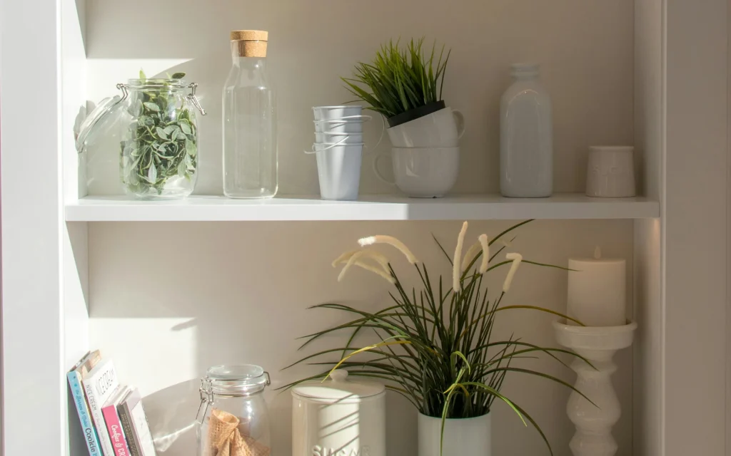  real plants on a shelf