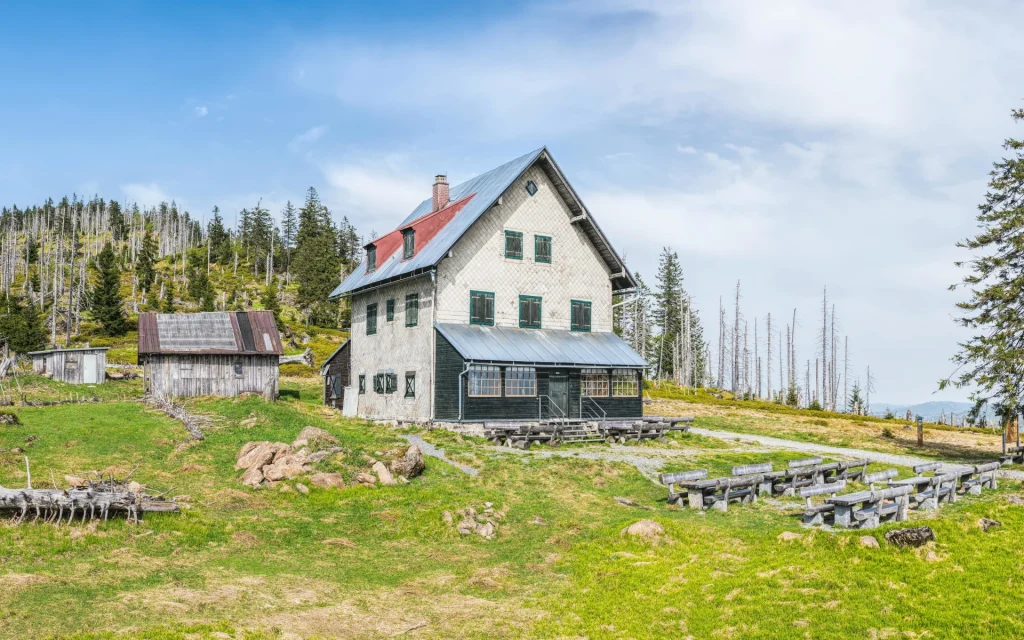 Collection of ranch house styles