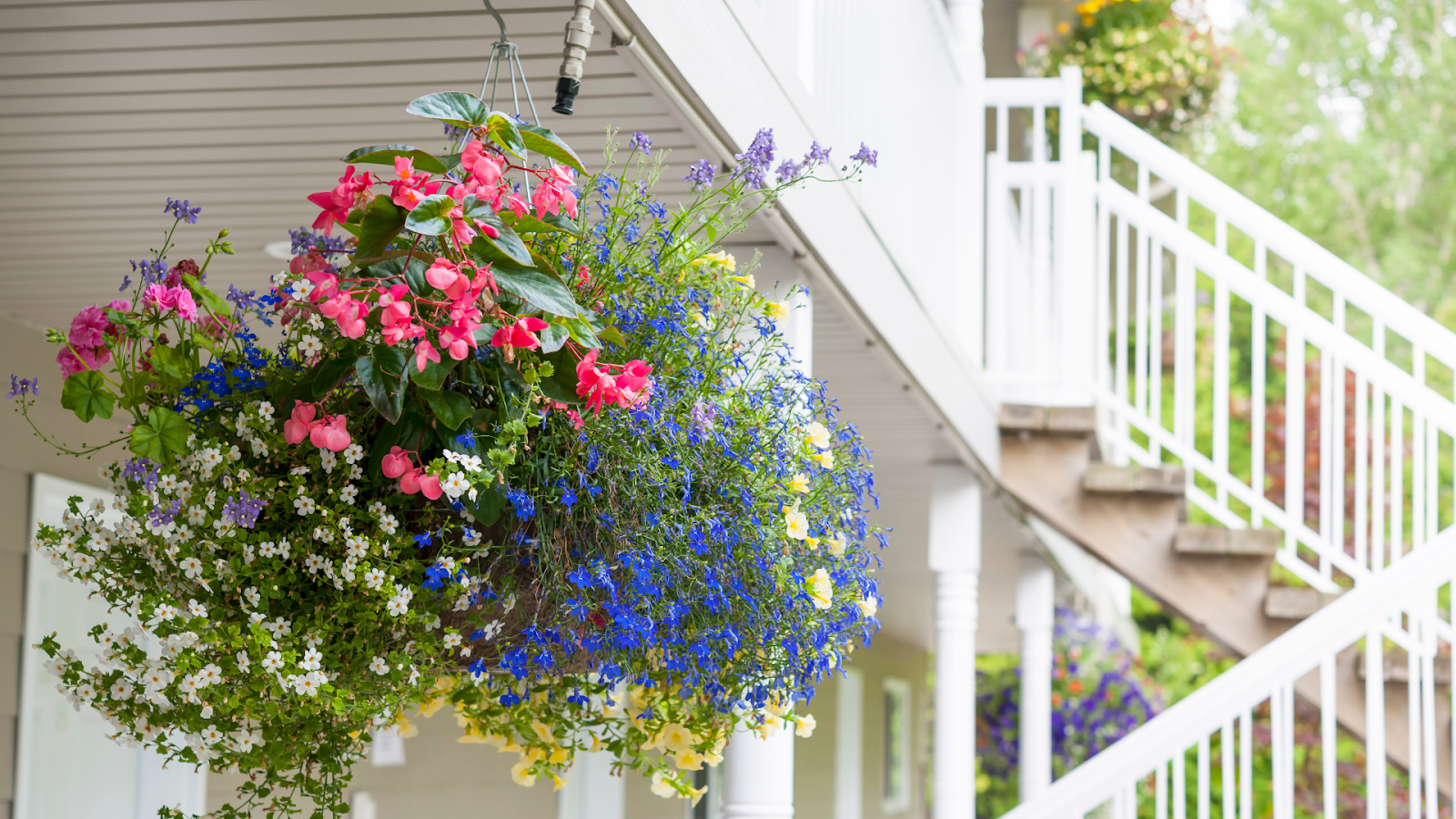 Hanging garden pots in your backyard.