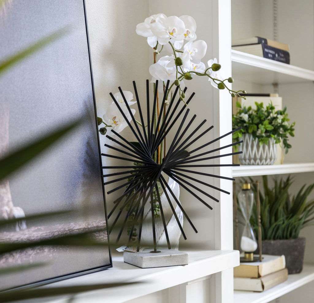 plants in interior design