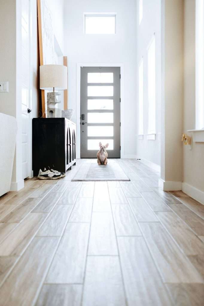 flooring choices for the pets