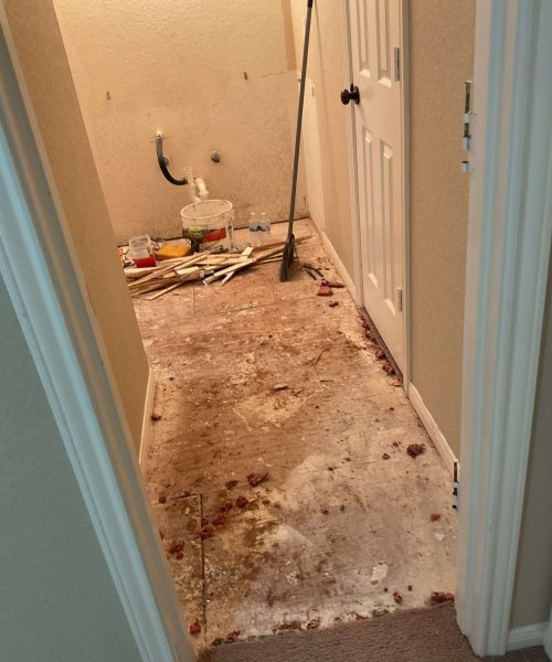 Bathroom renovation in progress with removed vanity, exposed plumbing, and torn-up flooring during demolition phase