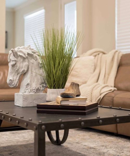 Close-up of a styled coffee table in a modern living room with decorative objects, plant, books, and a leather sofa in the background