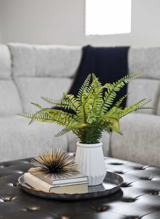 Modern Living Room Styling with Greenery and Decorative Accents Modern living room decor with a green fern in a white vase on a tray with books and decorative accent on a leather ottoman